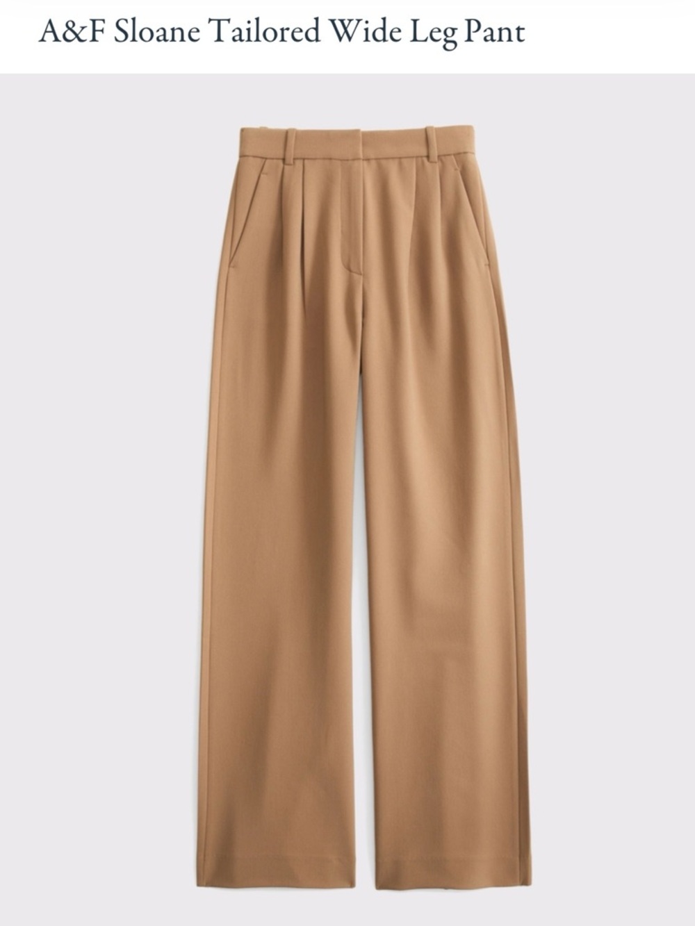 Abercrombie & Fitch Tailored Wide Leg Pants in Camel